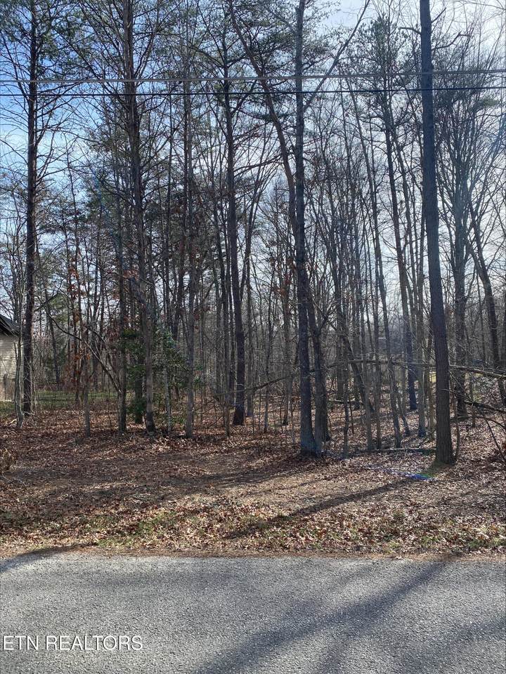 231 Thrushwood Drive - Photo 1