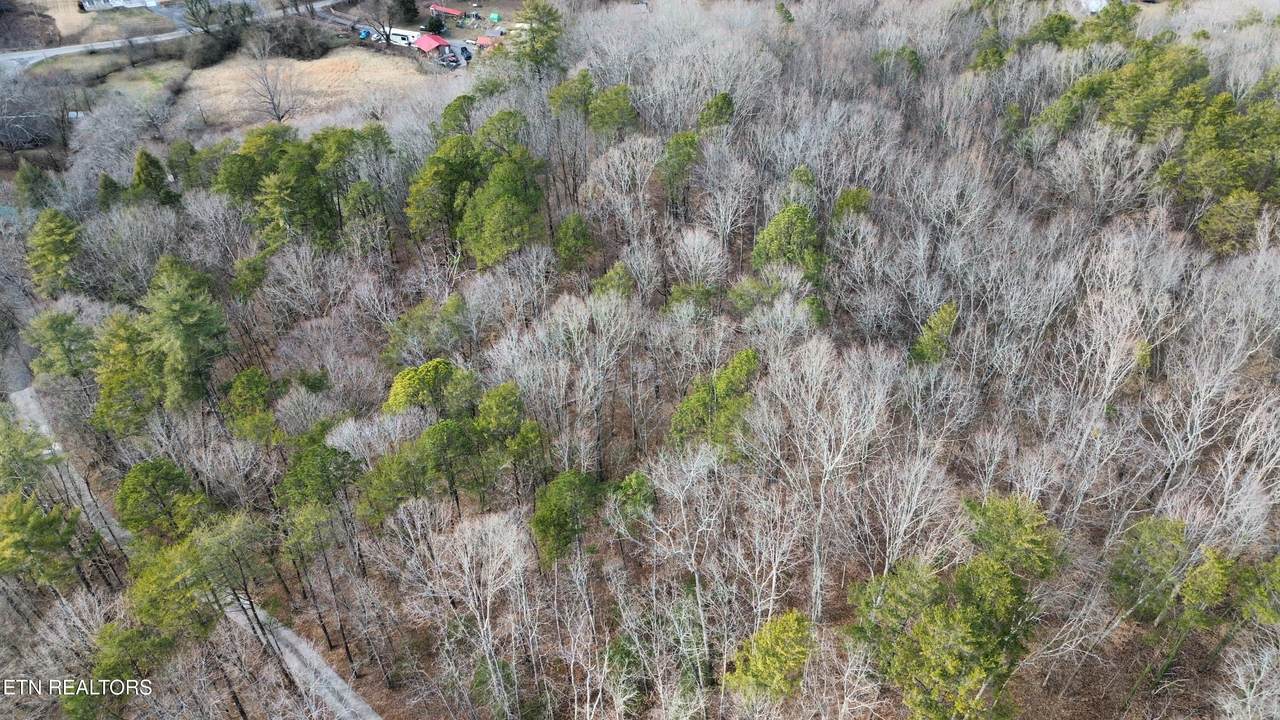  Charles Young Rd - Photo 1