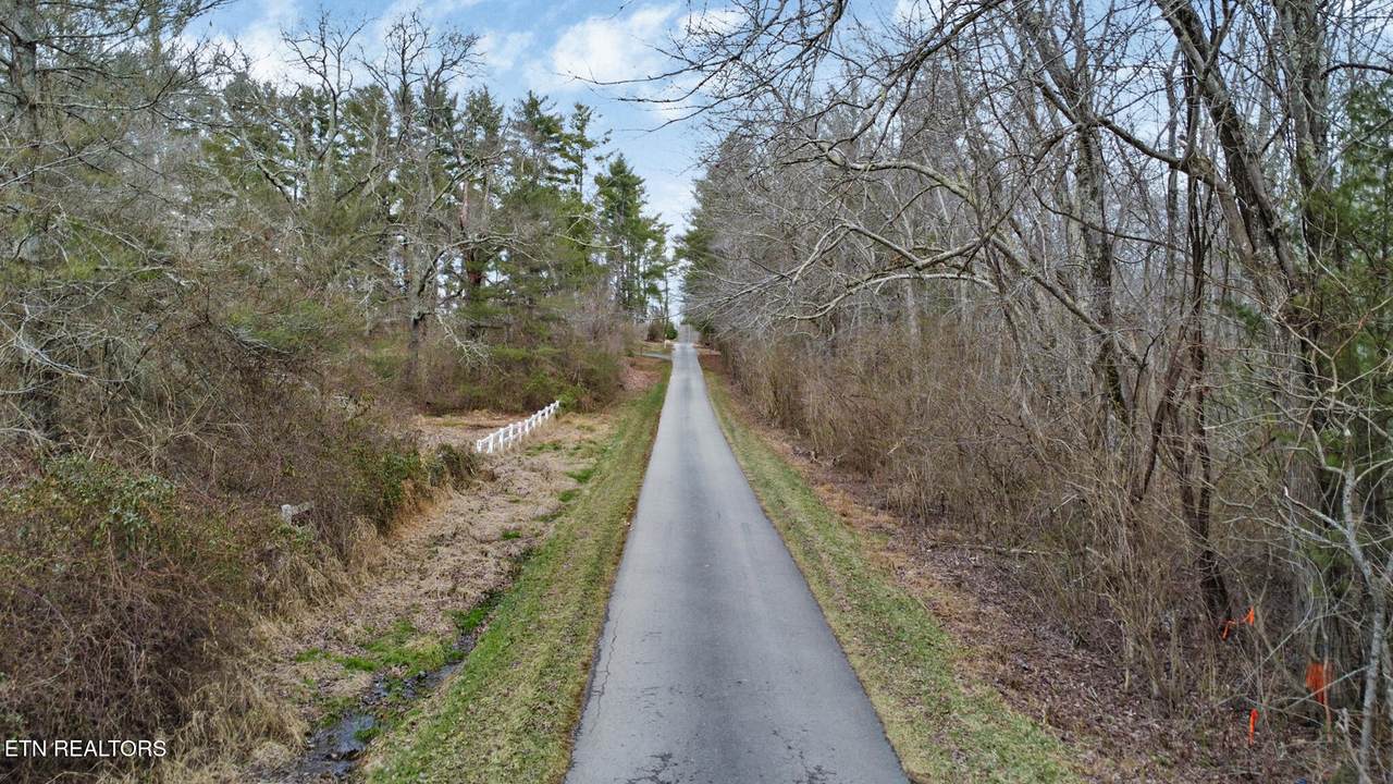 0 Beehive Lane - Photo 1