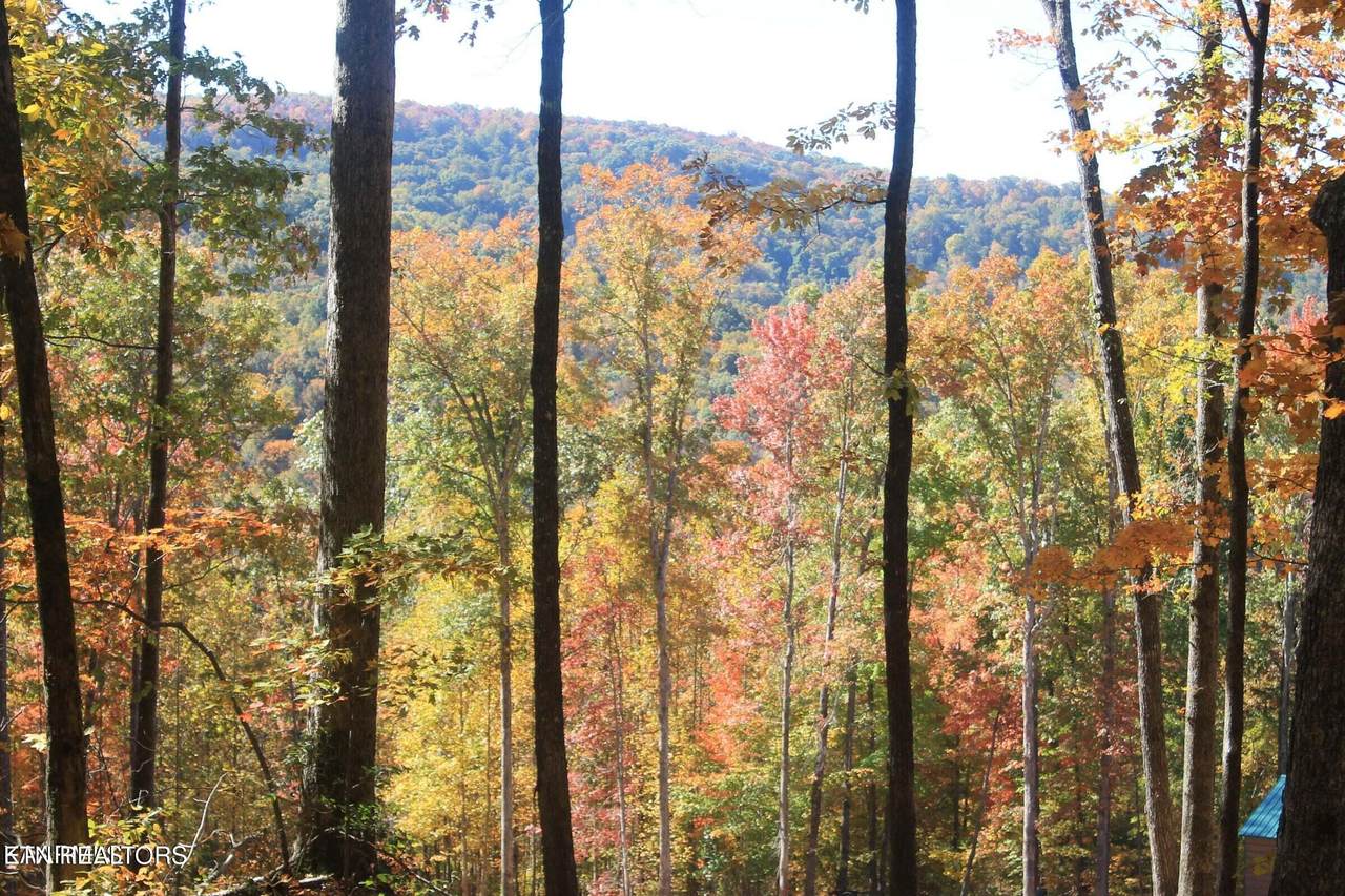  Cheyenne Drive - Photo 1