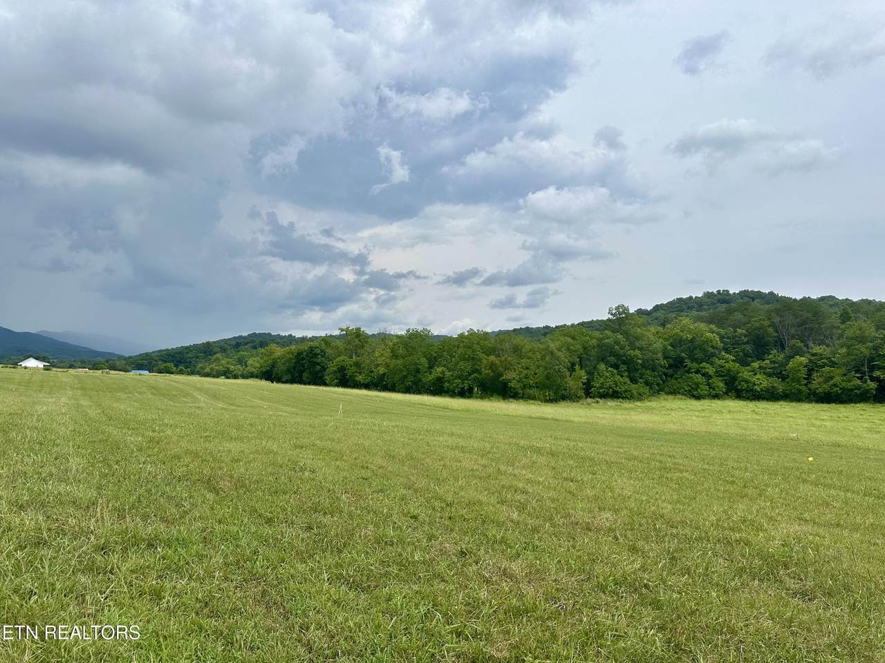 Lot 4 Rutledge Pike - Photo 1