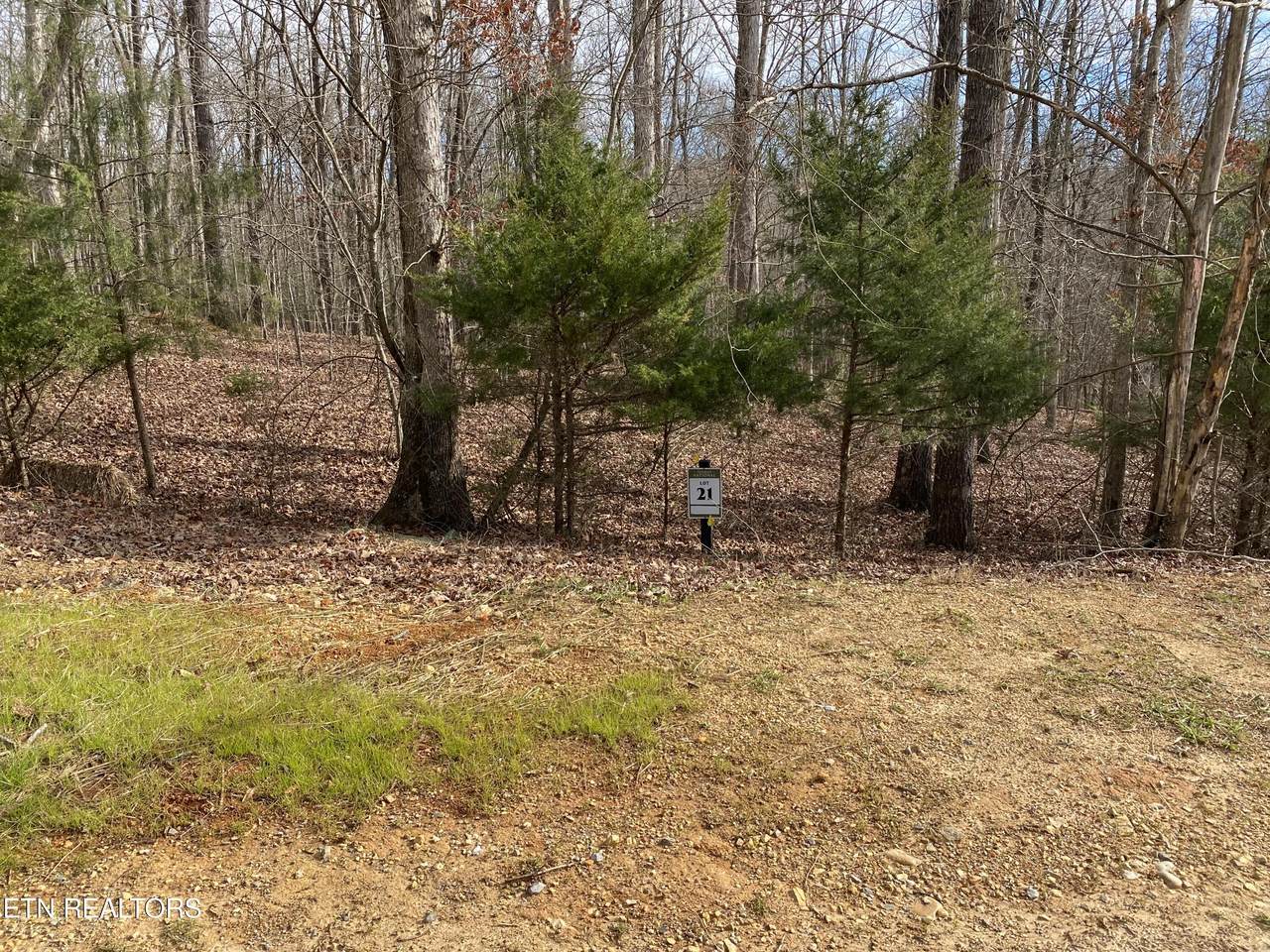 1566 Old Dogwood Tr - Photo 1