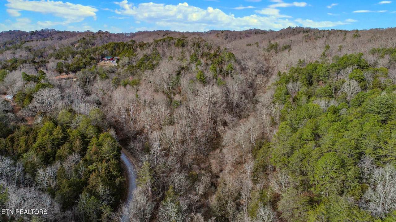 Lot 44 Cedarwood Circle - Photo 1