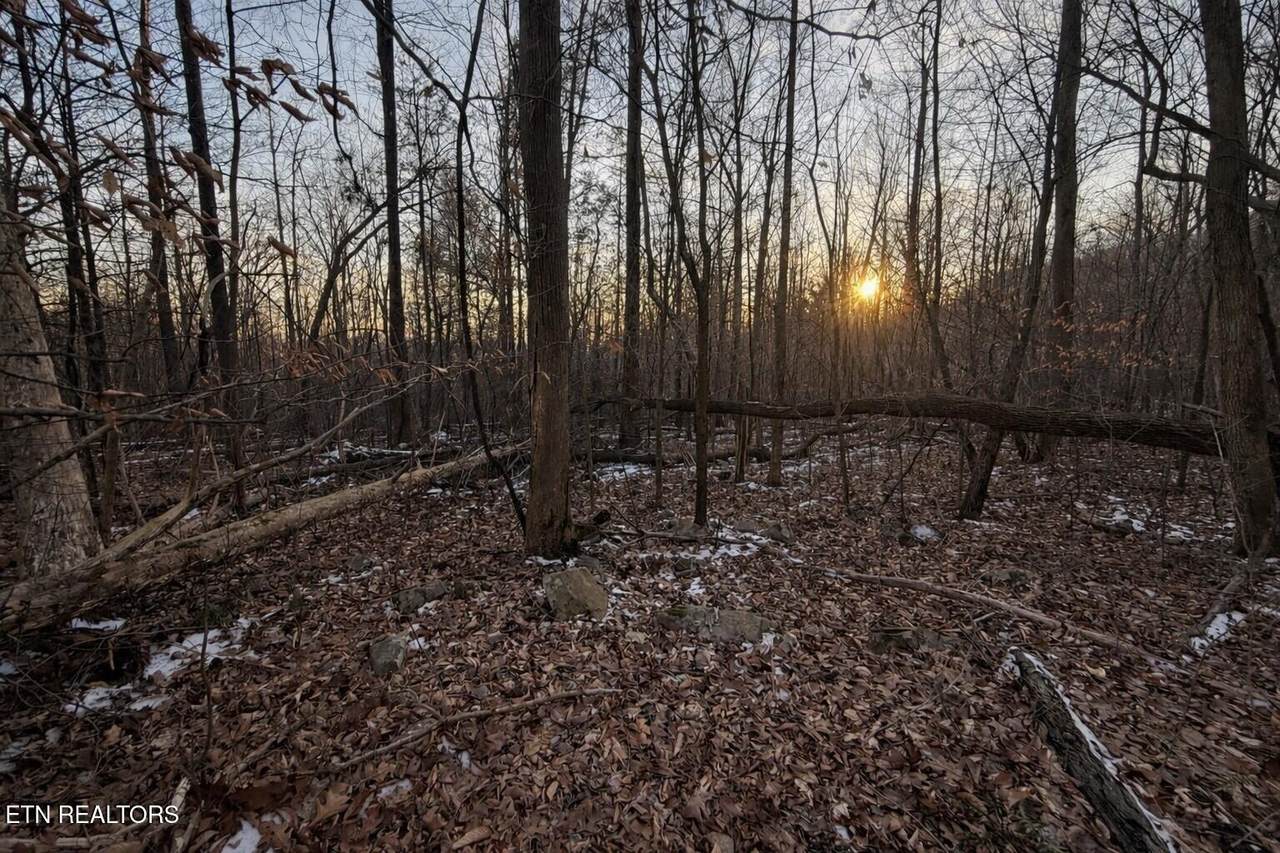  Hayes Lane E Of - Photo 1