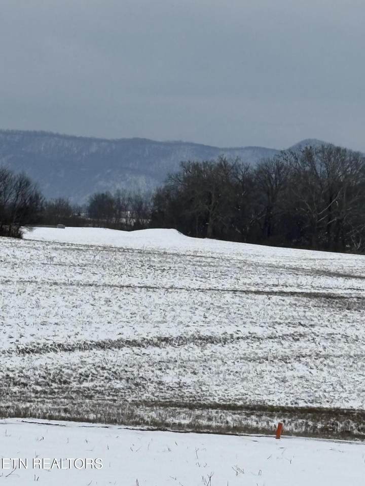 491 Alfred Mccammon Rd - Photo 1