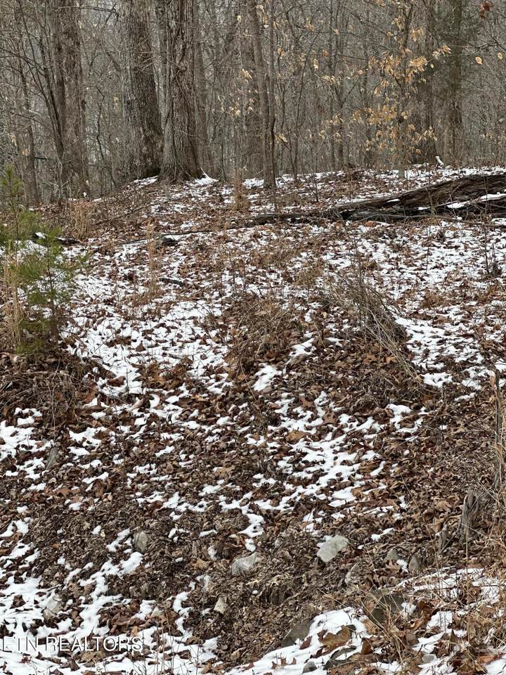  Lots 12 & 13 Sams Mountain Rd. - Photo 1