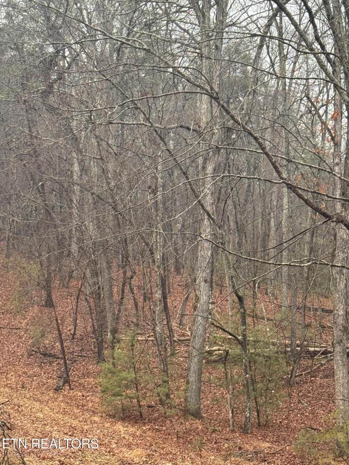 18 Bacham Court - Photo 1