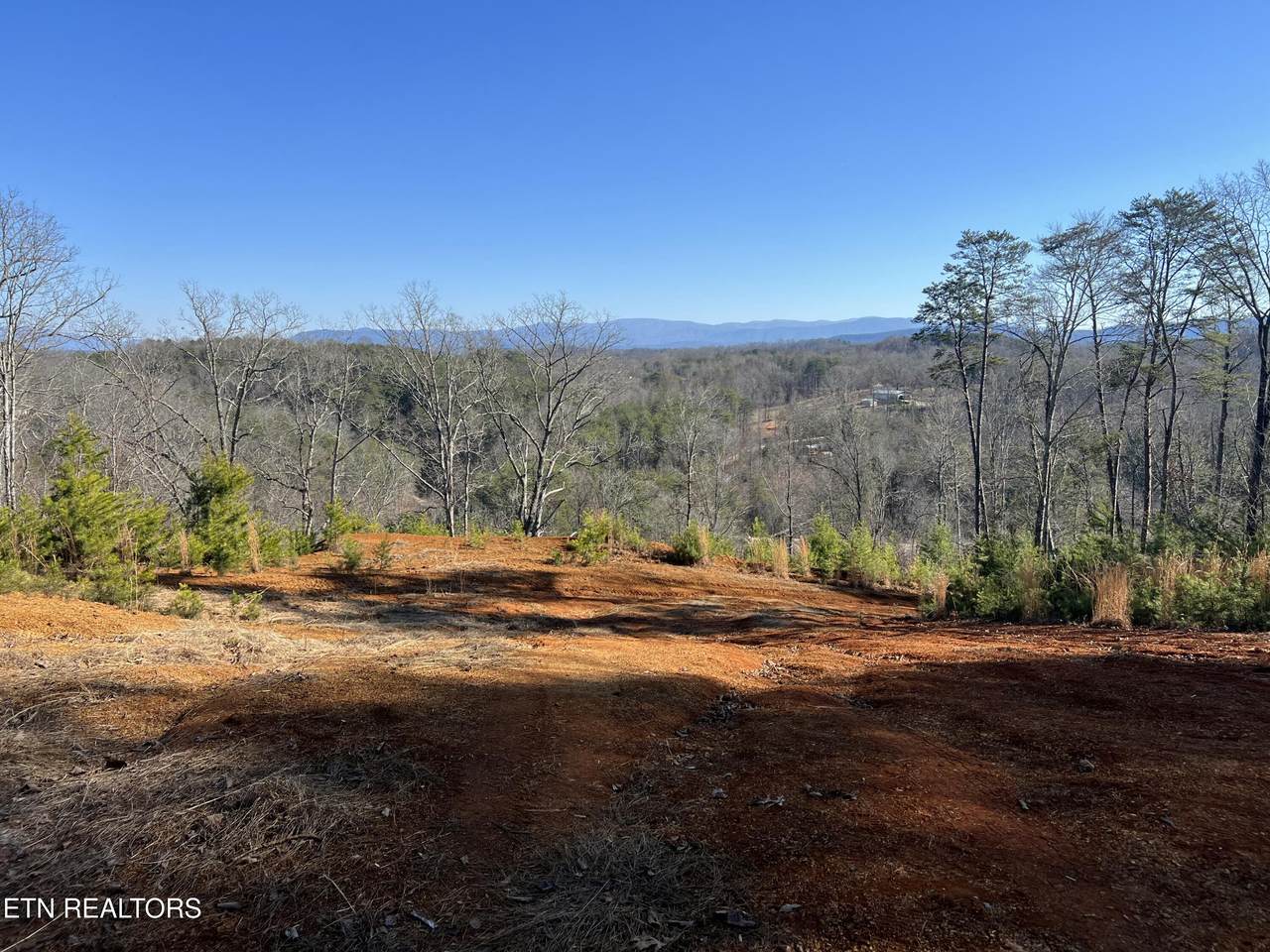  Griffith Branch Rd - Photo 1