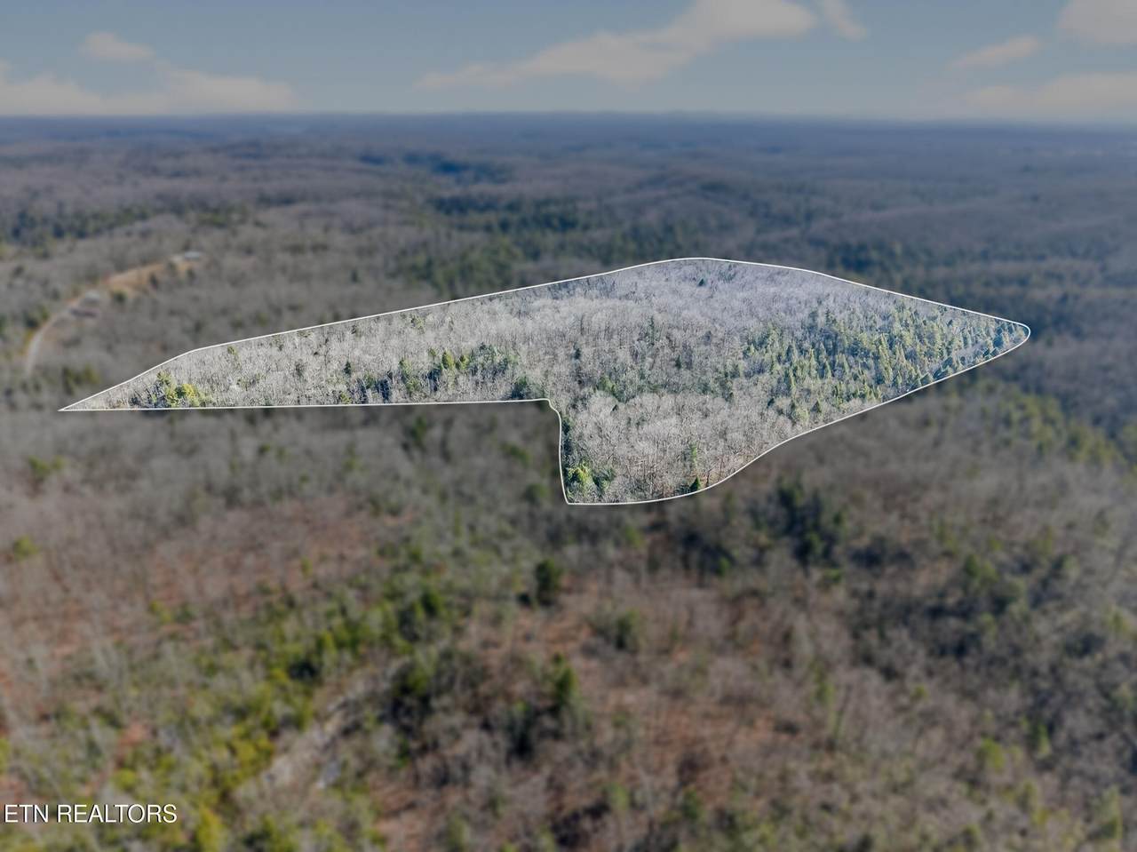  Pickett Park Hwy - Photo 1