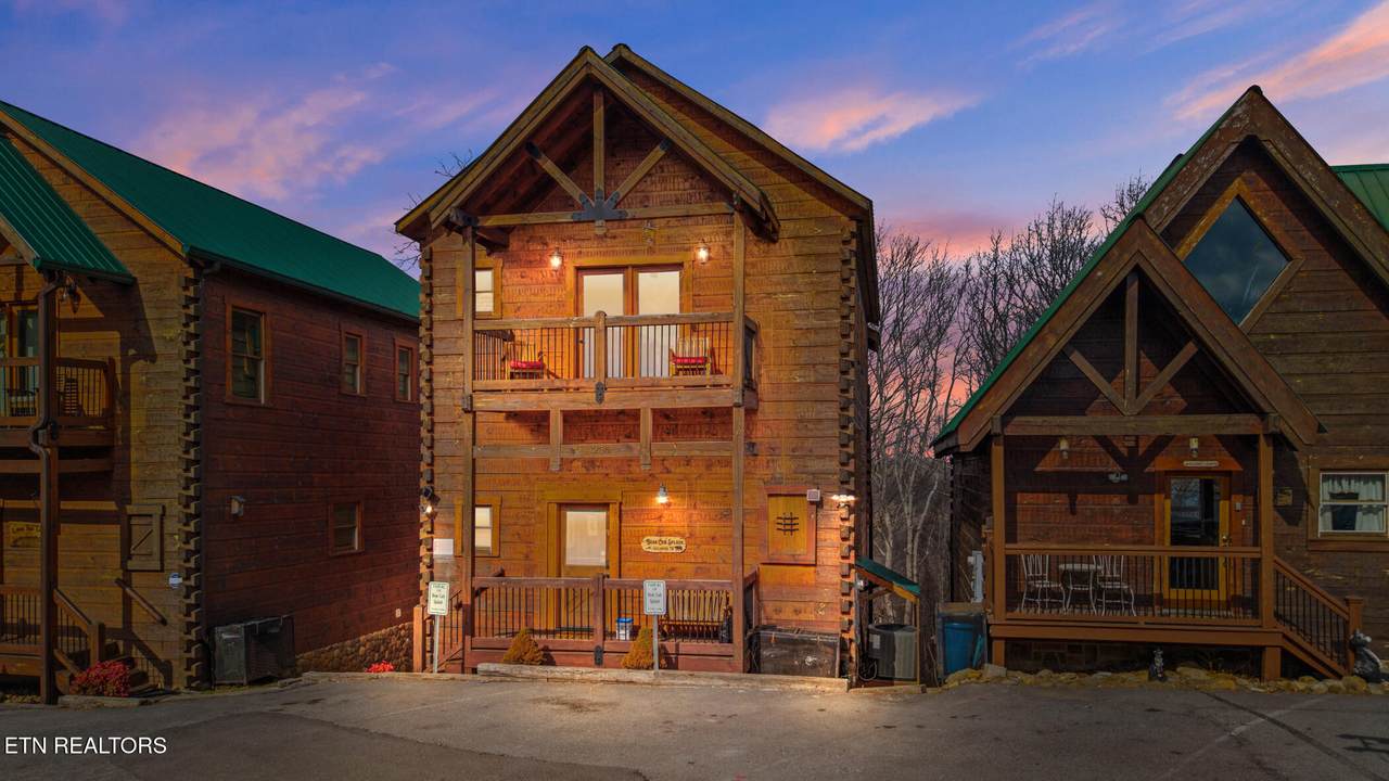 1255 Bear Cub Way - Photo 1