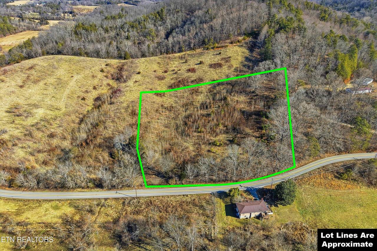  Wilkinson Pike - Photo 1
