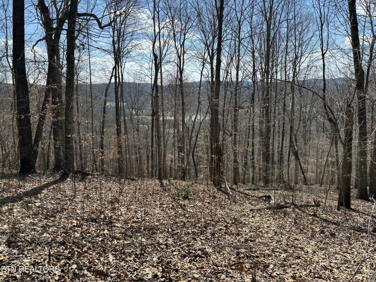  Highland Trace Rd - Photo 1