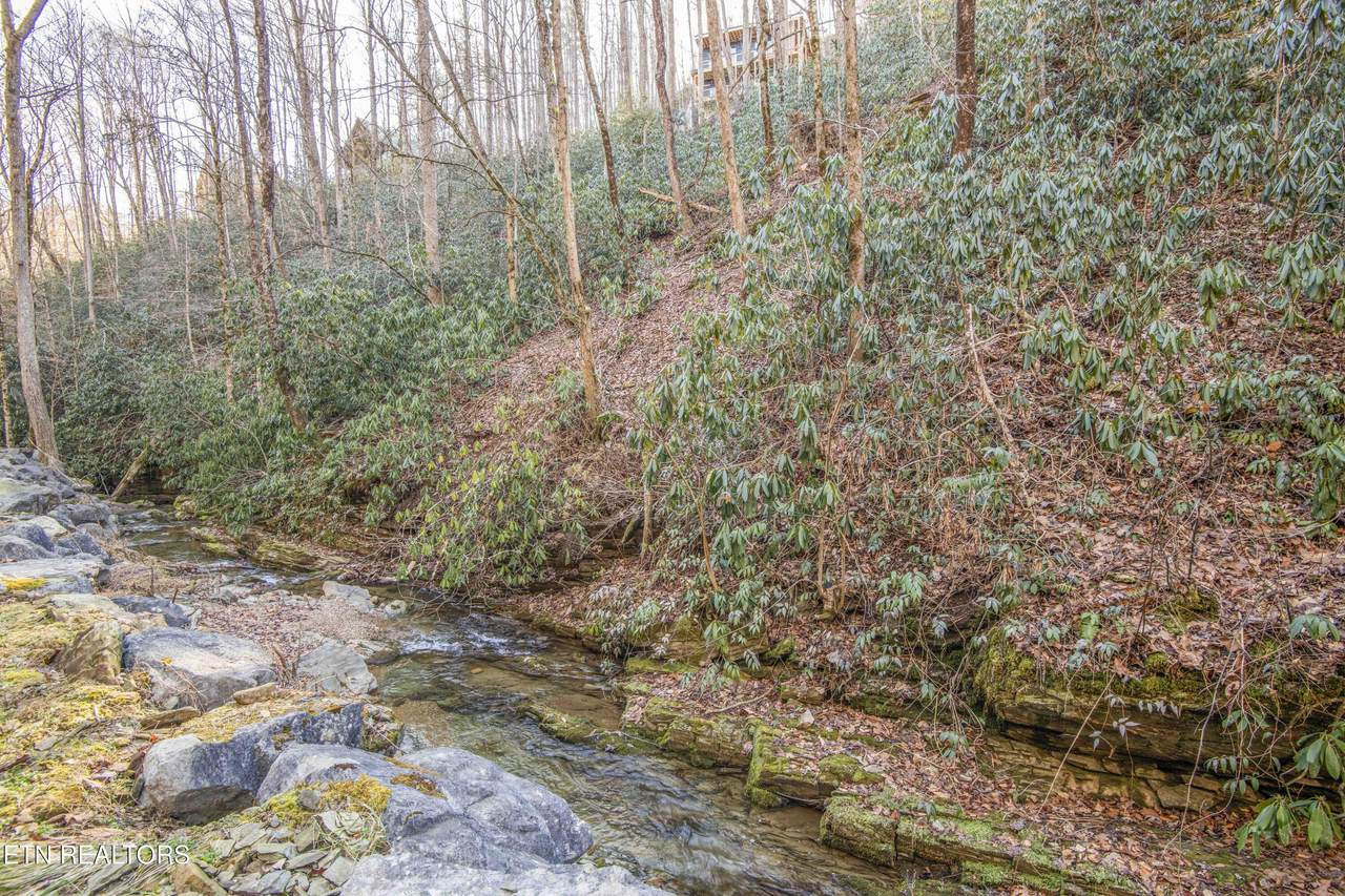  Clear Fork Rd - Photo 1