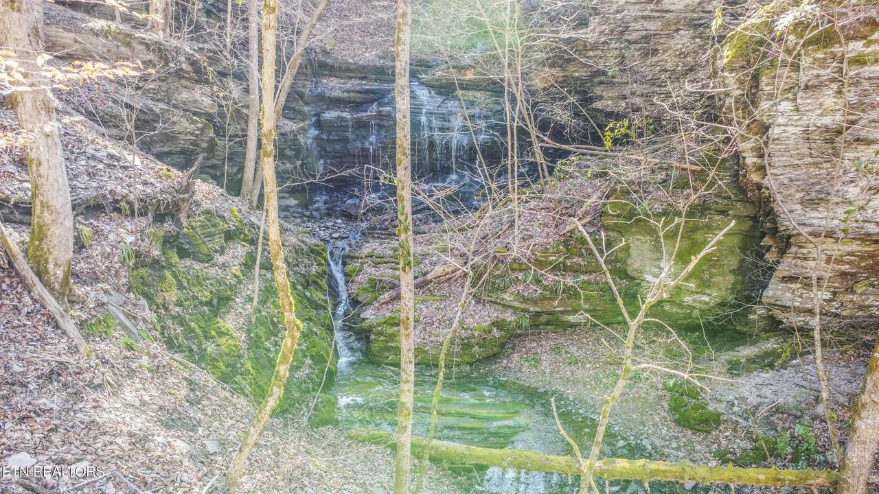  Stepping Stone Drive - Photo 1
