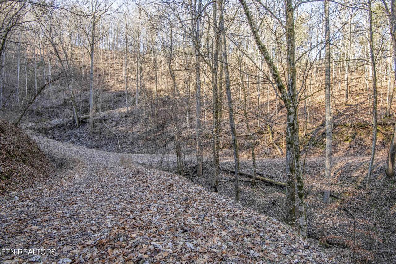 2474 Dove View Rd - Photo 1