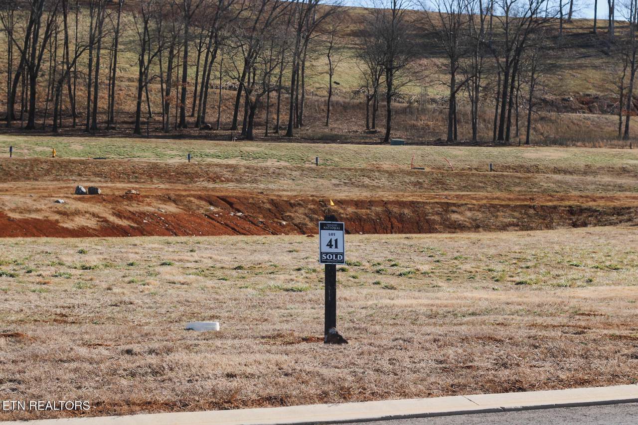 546 Black Bear Circle - Photo 1