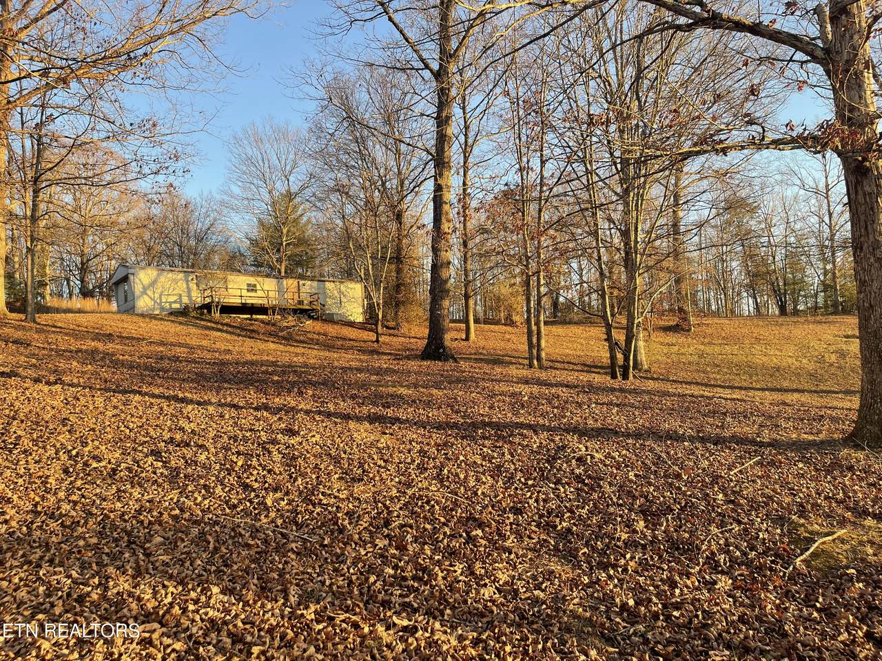 454 County Road 188 - Photo 1