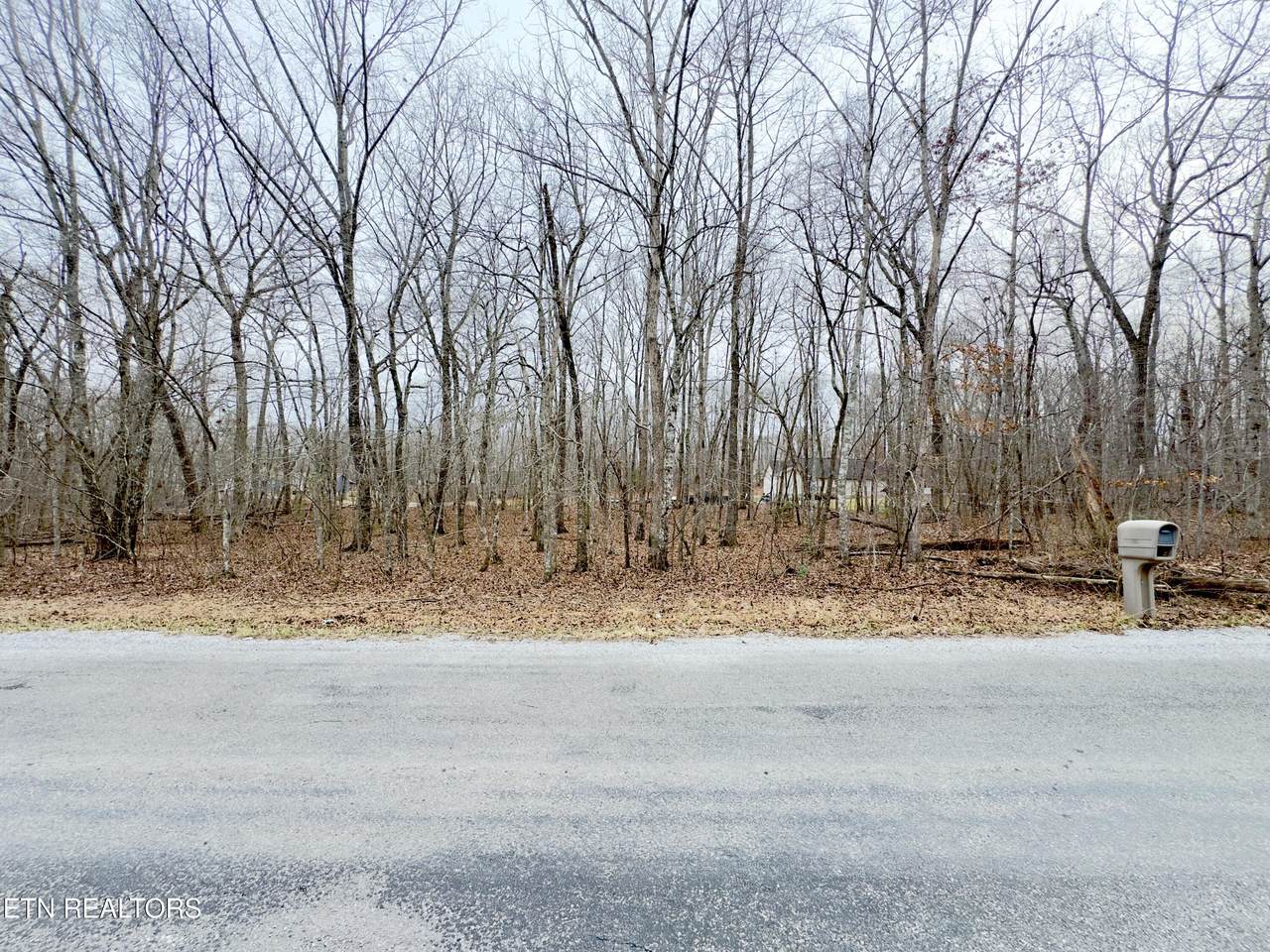 6260 Osage Rd - Photo 1