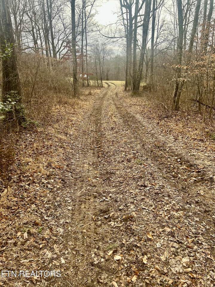  River Rd - Photo 1