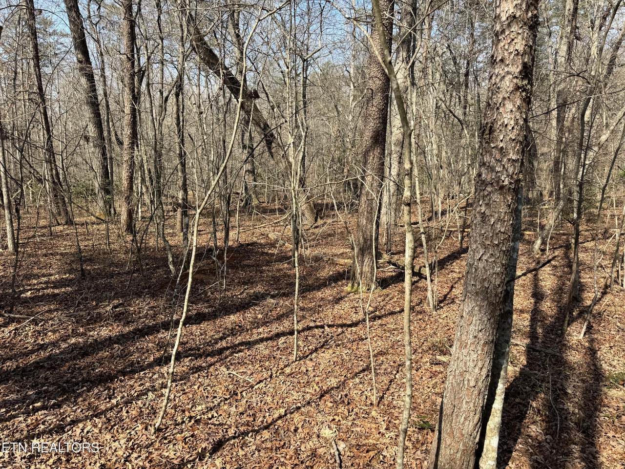 https://bt-photos.global.ssl.fastly.net/kaar/1280_boomver_1_1329943-2.jpg