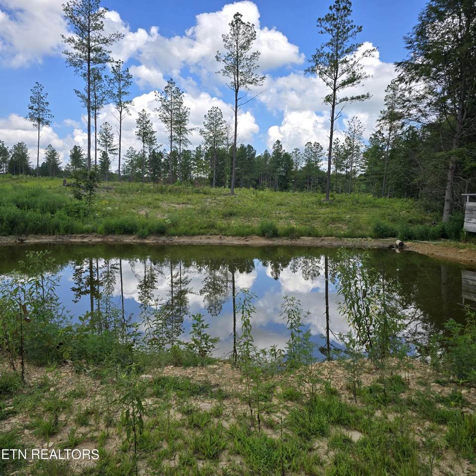 Tract 8 Boone Lane - Photo 1