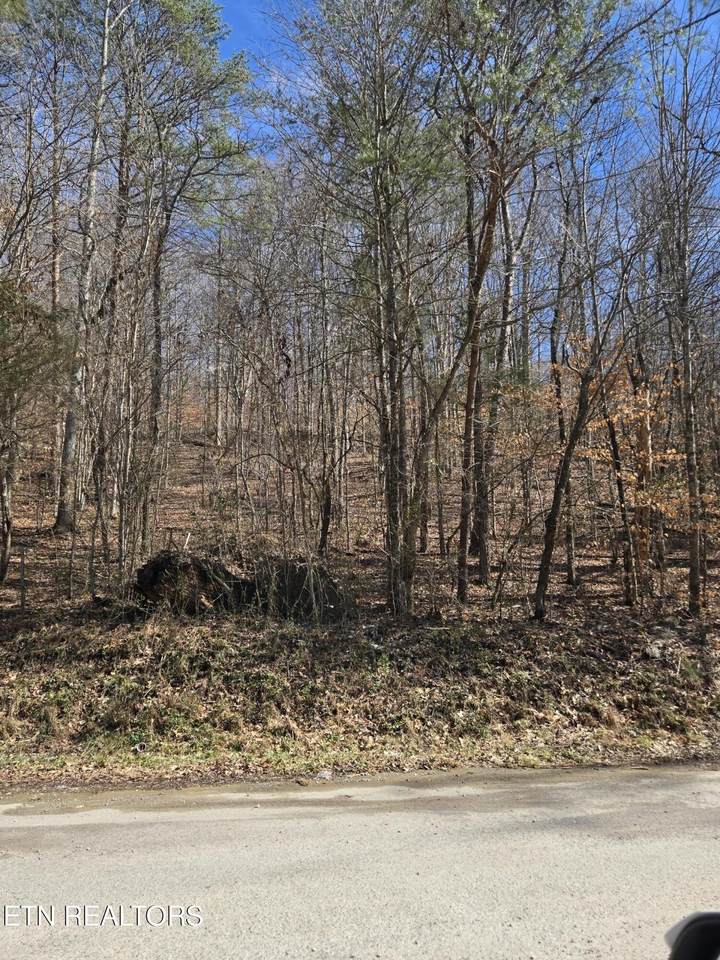 204 Archer Rd - Photo 1