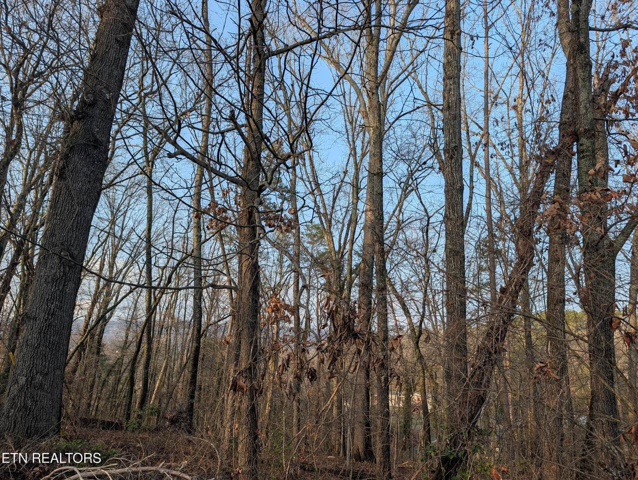 0 Pine Breeze Circle - Photo 1