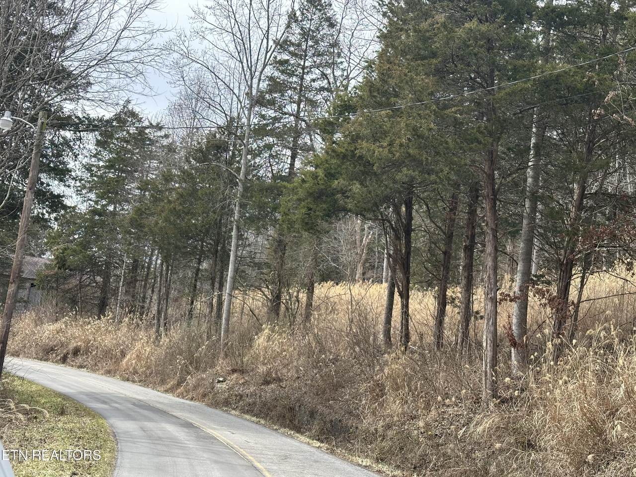  Aj Osborne Hwy - Photo 1