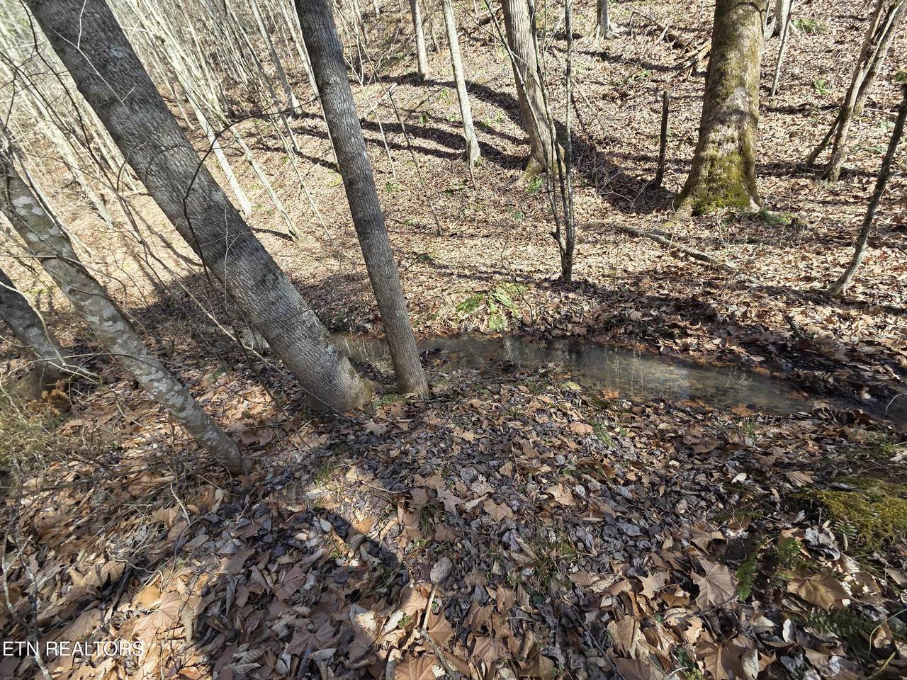  Baysinger Rd - Photo 1