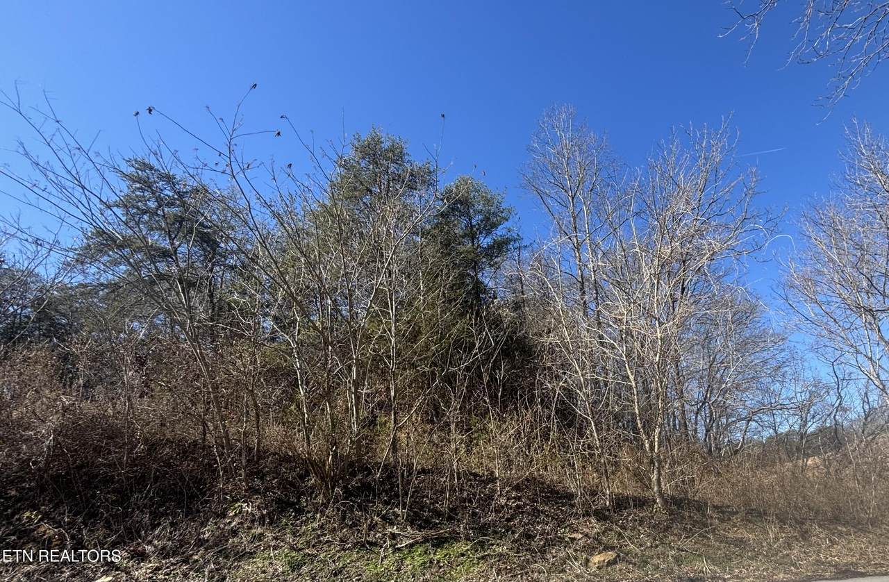  Tract 4 Rule Hollow Rd - Photo 1