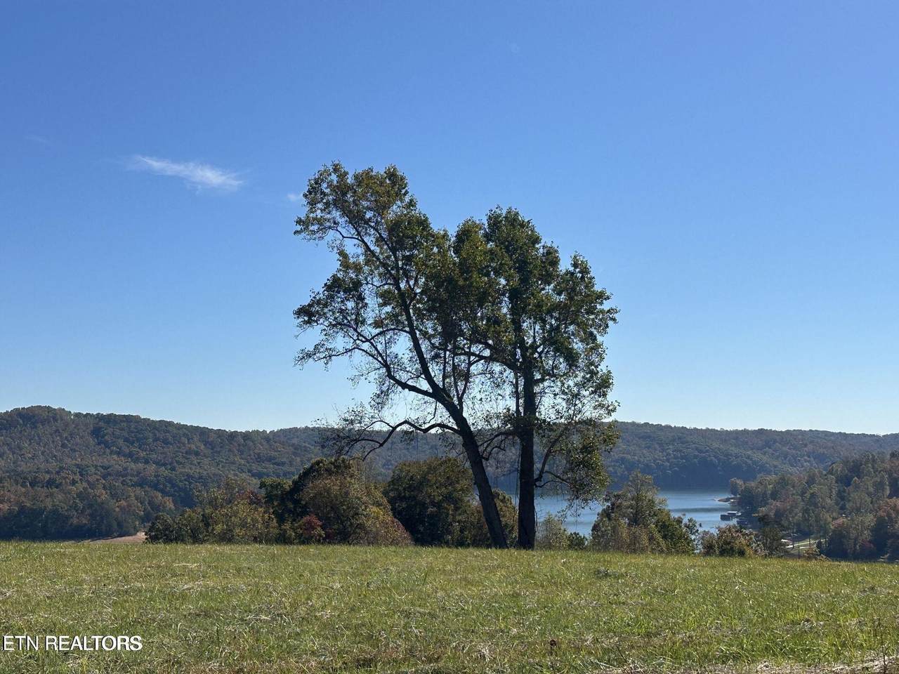 lot 41 Deer Tr - Photo 1