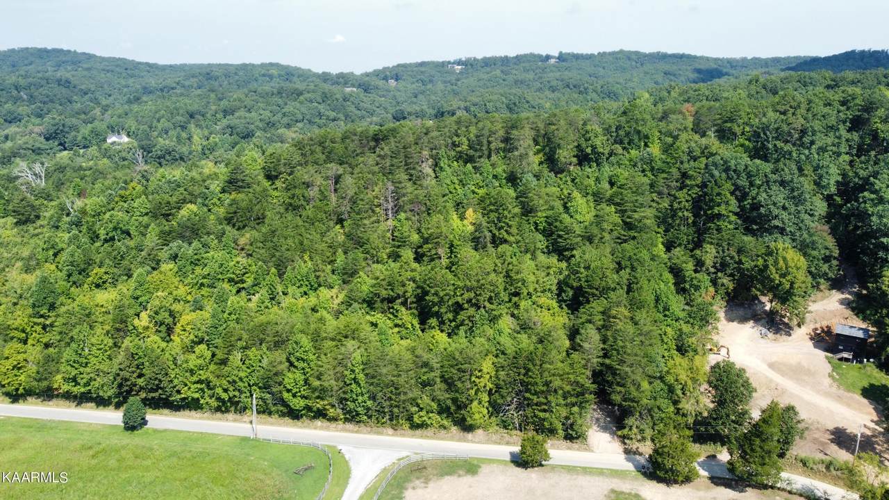 .73 acres Tarklin Valley Rd - Photo 1