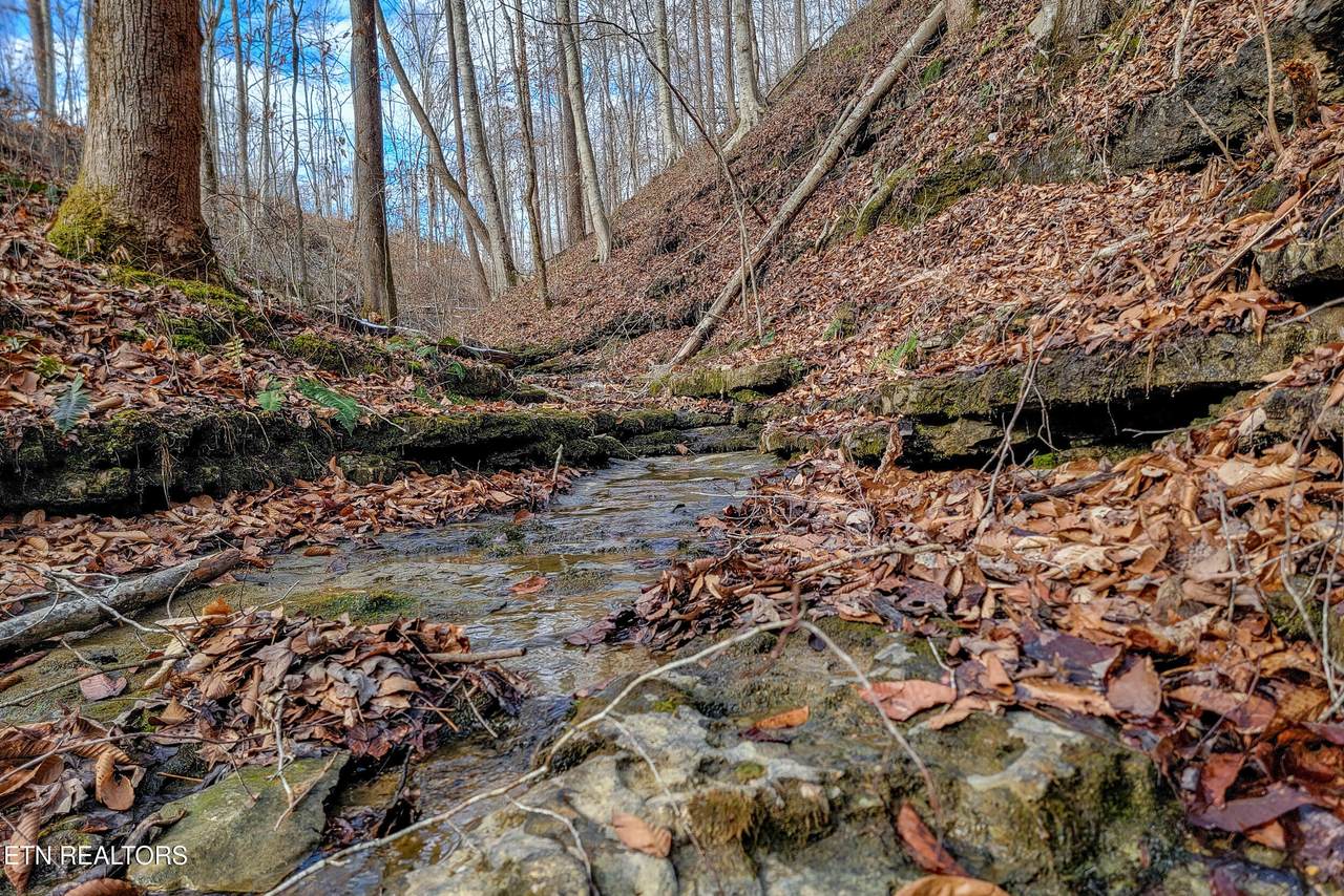 6.24 Acres Hutchins Bend Rd - Photo 1