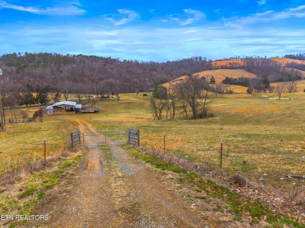 TBD Grassy Valley Rd - Photo 1