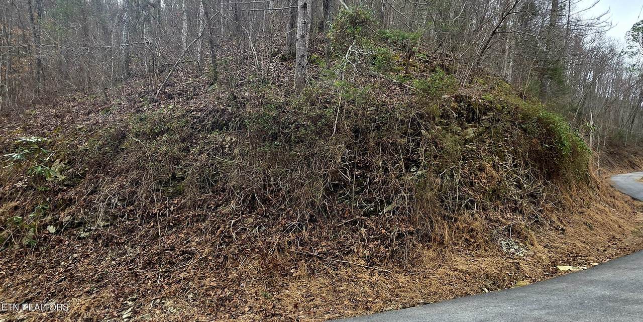 Lot 0006 Wildcat Ridge Rd - Photo 1