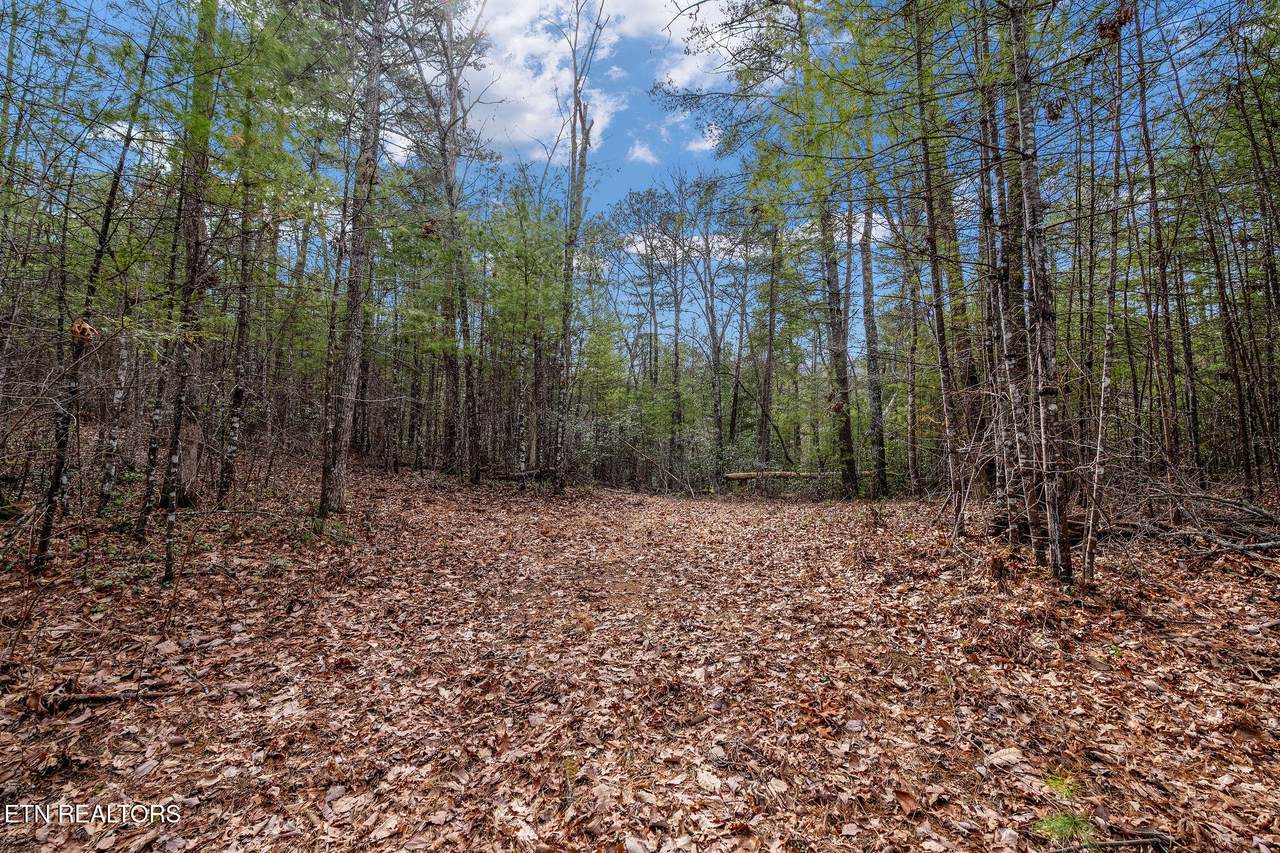 Lot 14 Paint Horse Way - Photo 1