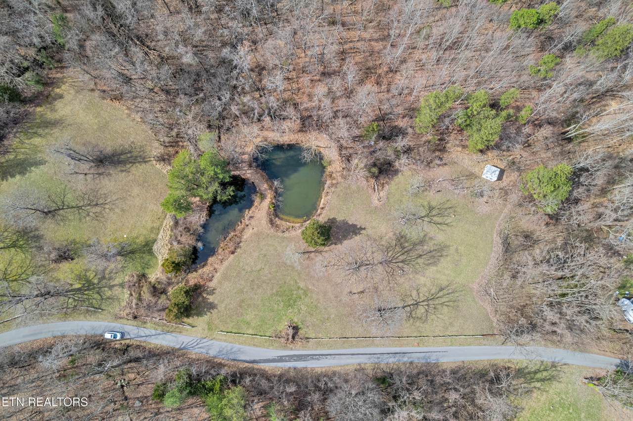  Collier Loop - Photo 1