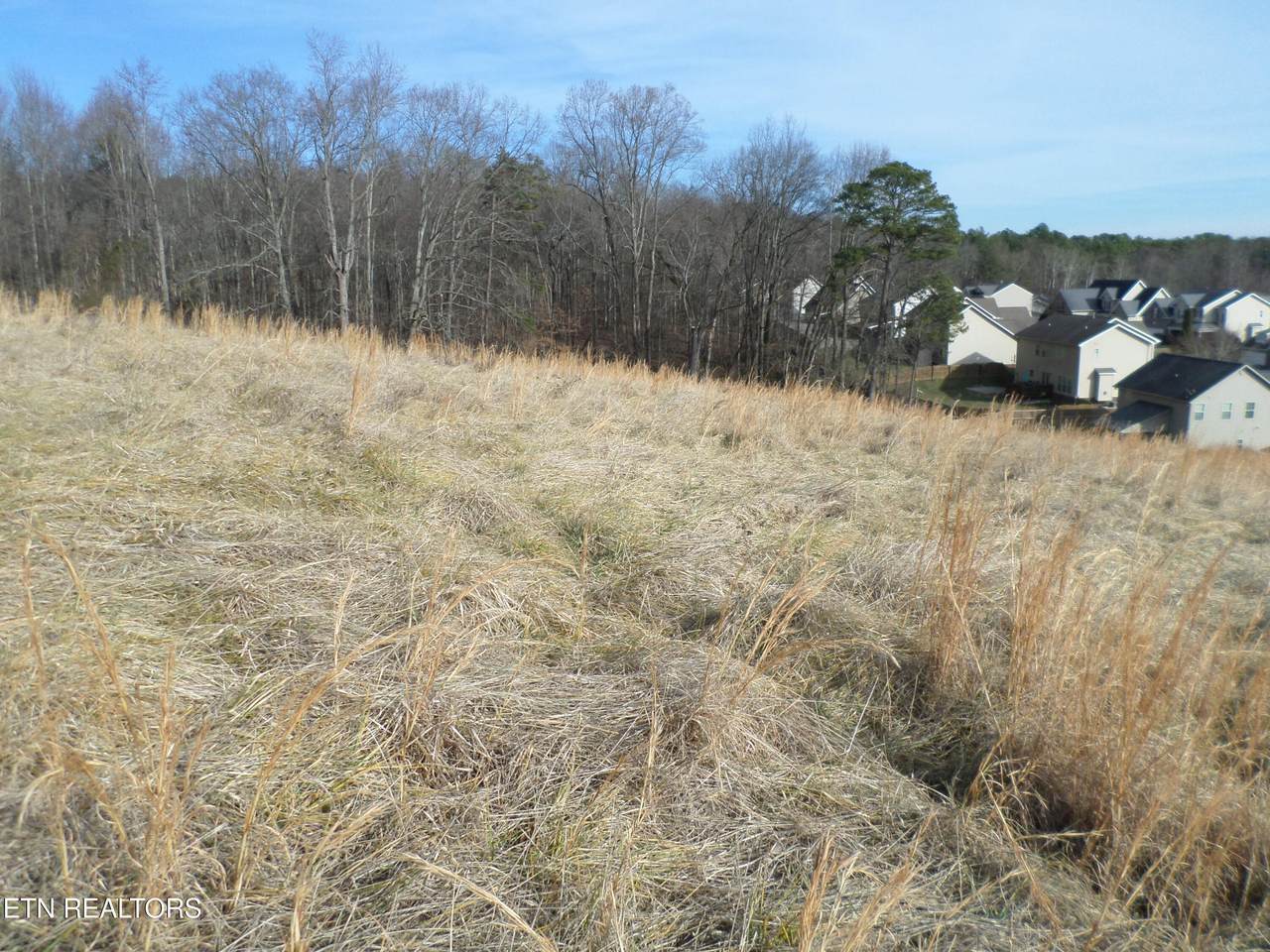 Lot 3, Dogwood Rd - Photo 1