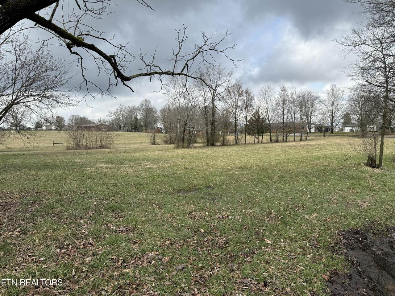 2919 Lamar Alexander Pkwy - Photo 1