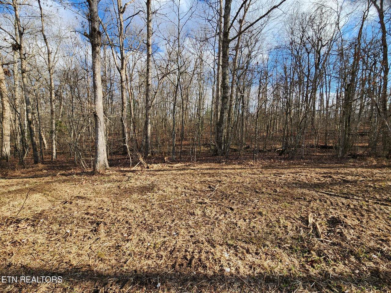  Killary Drive - Photo 1