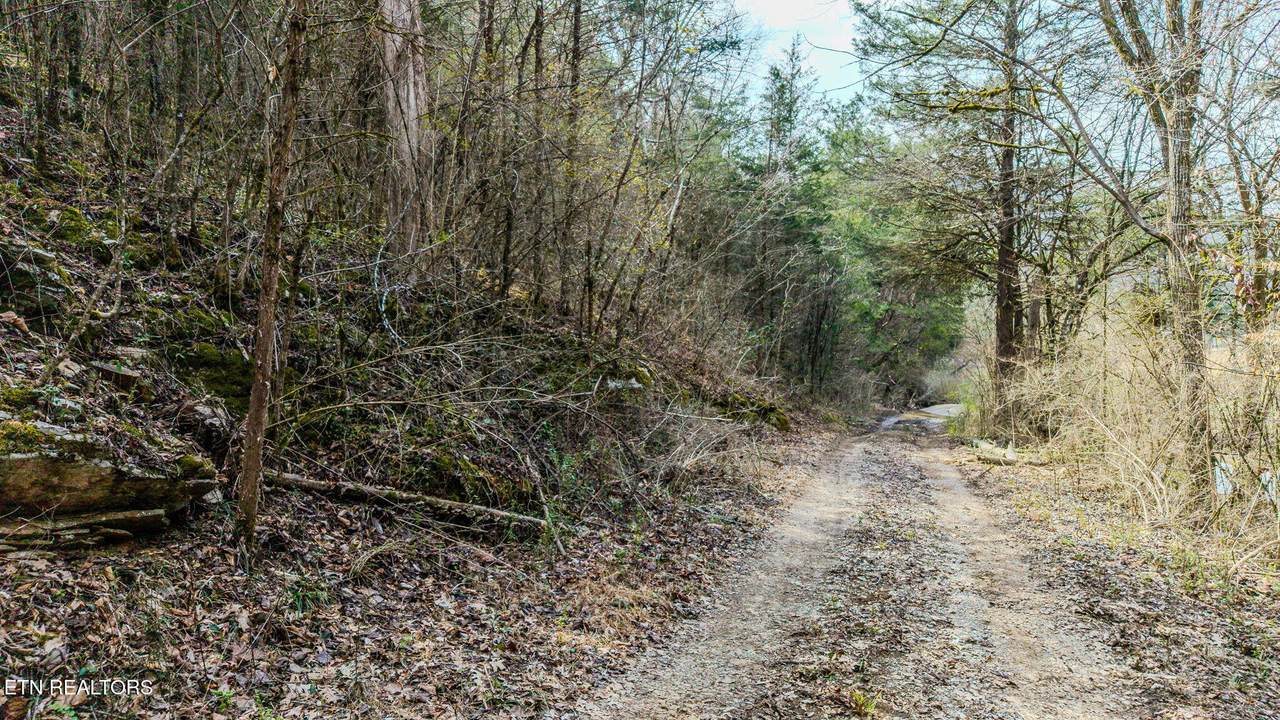 9406 Heiskell Rd - Photo 1