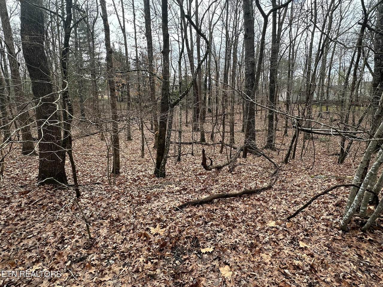 112 Norcross Rd - Photo 1