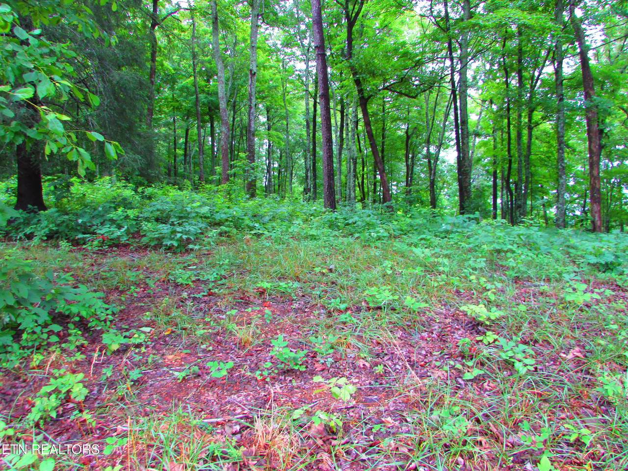  Pinnacle Pointe Way - Photo 1