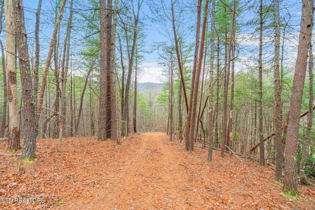 2331 Rafter Rd - Photo 1