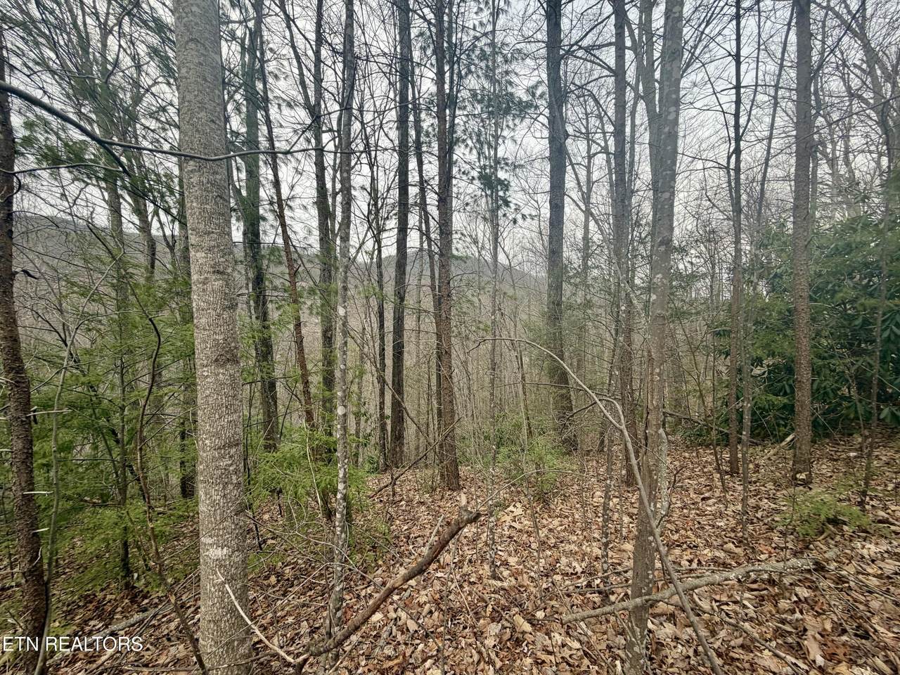 Lot 6 Thissa Way - Photo 1