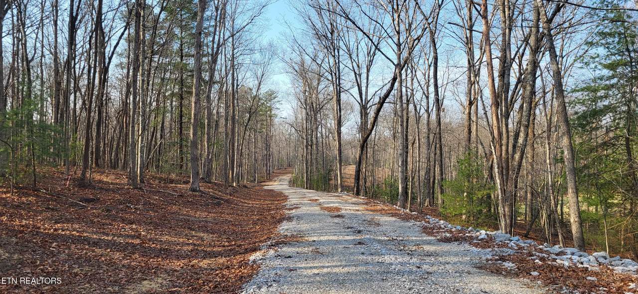 2936 Leatherwood Ford Rd - Photo 1