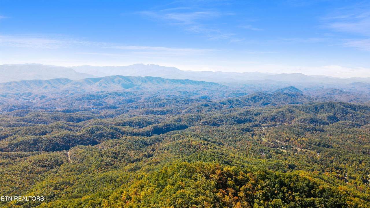 Tract 64 Wilhite Rd - Photo 1
