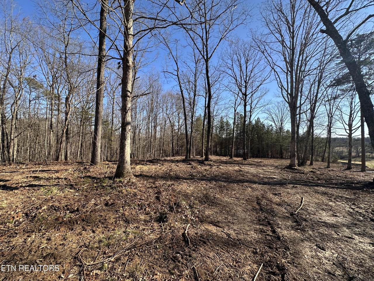 14.53 Ac Pickett Park Hwy - Photo 1