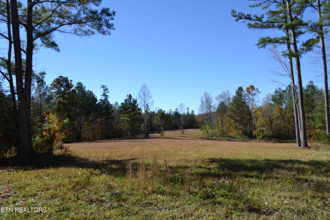 28.30ac Whitson Hollow Rd - Photo 1