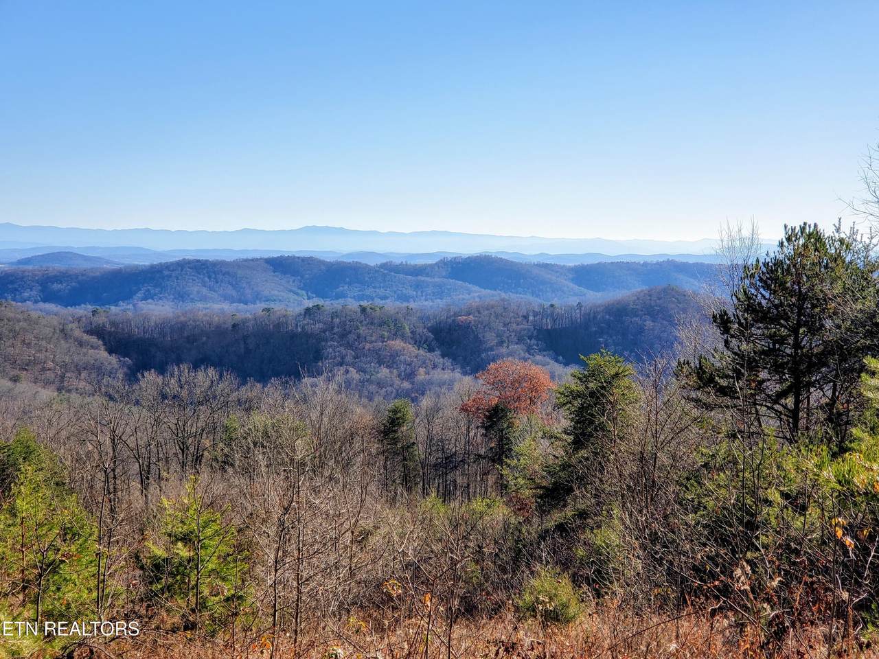 5960 Poor Valley Rd - Photo 1